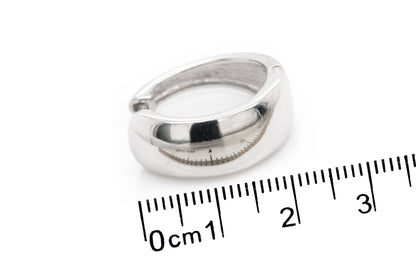 Arracadas "BASIC" plata .925 (37073)